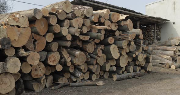 Timber Logging. Freshly Cut Tree Wooden Logs Piled Up. Wood Storage for Industry alt
