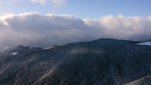 Aerial Top Down Flyover Shot of Winter Mountain Snow Covered Forest alt