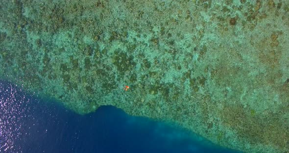 Aerial drone view of a man and woman couple snorkeling over the coral reef of a tropical island alt