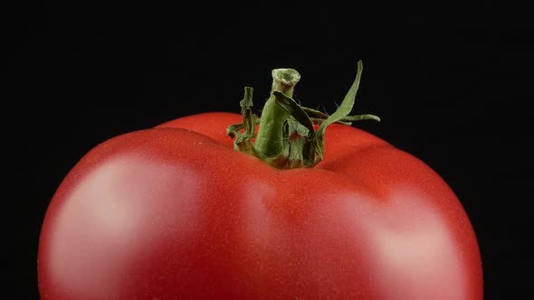 Fresh red tomato green stem