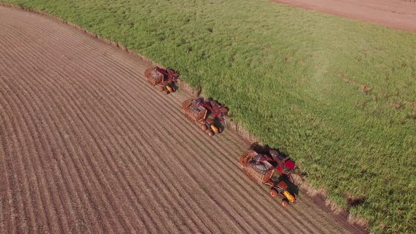 Sugar cane hasvest plantation with three machines view aerial alt