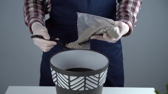 Transplanting Indoor Plants alt