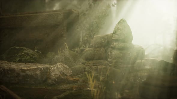 Hoary Ruins of Ancient City in Pine Forest alt