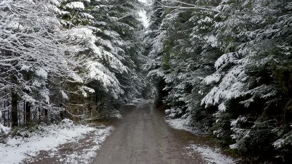 View of a frozen road in the forest covered with snow 