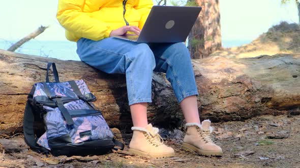 Unknown Woman Using Laptop While Sitting in Forest on Log on Sunny Fall or Spring Day