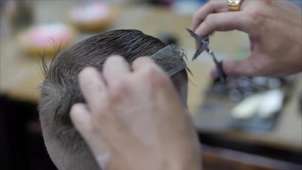 Children's Haircut in the Salon, A Little Boy Gets a Haircut in the Hairdresser. Children's Styling alt