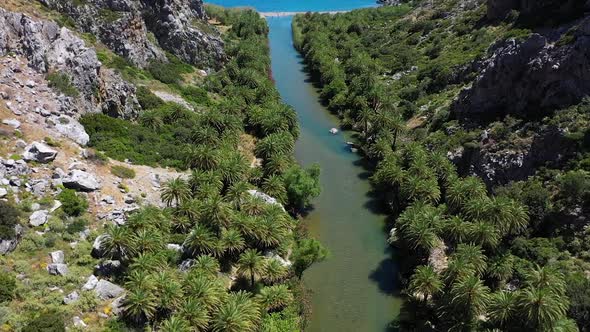 The wide valley between two mountains at the palm forest of Vai - crete, greece. alt