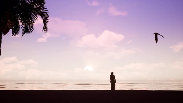 Eagle Circling Over the Arab on the Ocean alt