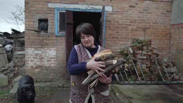 An Elderly Woman with a Handful of Firewood Comes Out of the Barn and Walks Across the Yard to Home