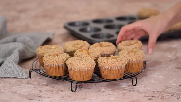 Healthy Pumpkin Muffins with Fall Spices
