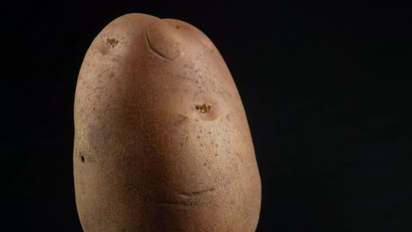 One Fresh Potato close up