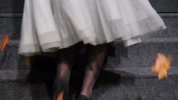 Thematic Party Woman Heels Legs on Stairs Stage Fall Leaves Autumn Party Stage Event Corporate alt