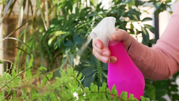 Senior Woman Spraying Houseplants at Home alt