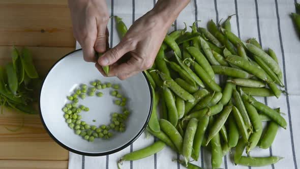 mans hand shelling fresh ripe green peas bean