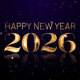 New Year Countdown - VideoHive Item for Sale