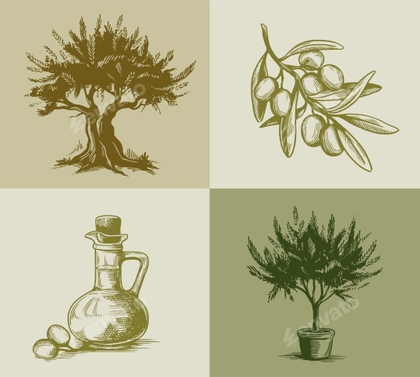 Olive Tree Poster Set