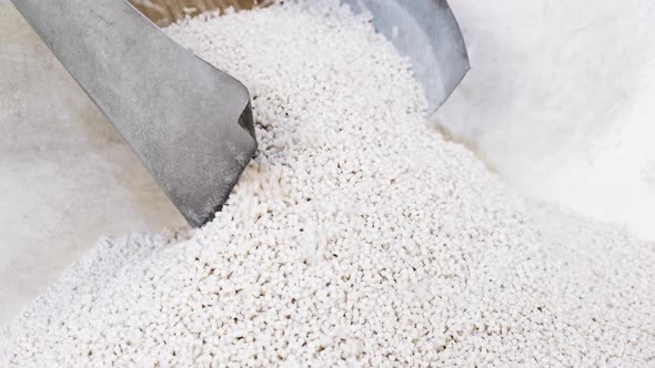 Secondary processing plastic granule comes out of the granulator crusher