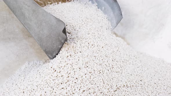 Secondary processing plastic granule comes out of the granulator crusher alt