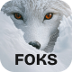 Preview icon