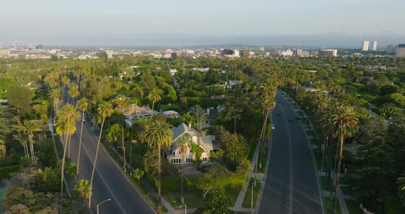 Neighborhood of Beverly Hills on Hazy Afternoon in LA, Drone Shot of Lush Green Trees and Gorgeous E alt