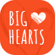 BigHearts - Charity & Donation WordPress Theme