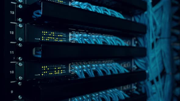 Close-up View of Modern Internet Network Switch With Plugged Ethernet Cables. Blinking Lights on alt