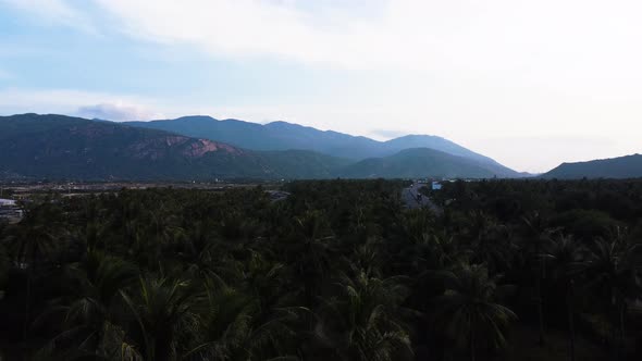 Flying above the palm treetops in Vietnam. Mountains are seen in the background. Road in running in alt