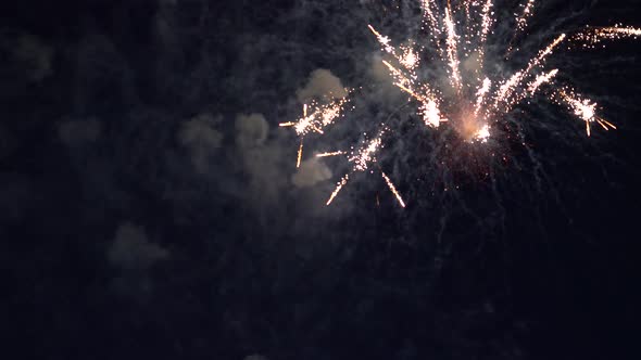 Fireworks on a Dark Sky Background