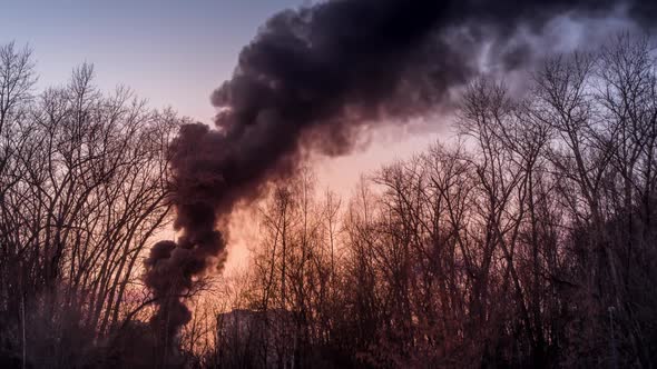 Column of black smoke rising above a forest.