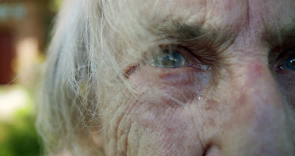 Closeup of the Eyes of an Elderly Old Woman with Gray Hair and a Lot of Wrinkles From Her Eye Which alt