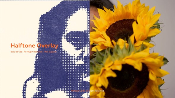 Halftone Grunge Overlay Elements template preview