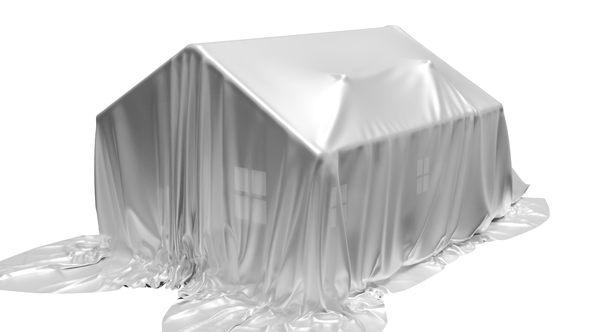 House logo revael Logo Stings template preview