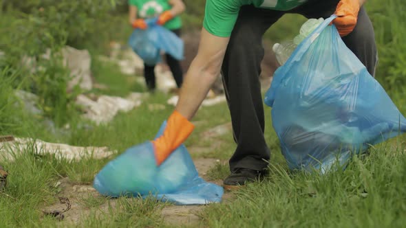 Volunteer Team Cleaning Up Dirty Park From Plastic Bags, Bottles ...