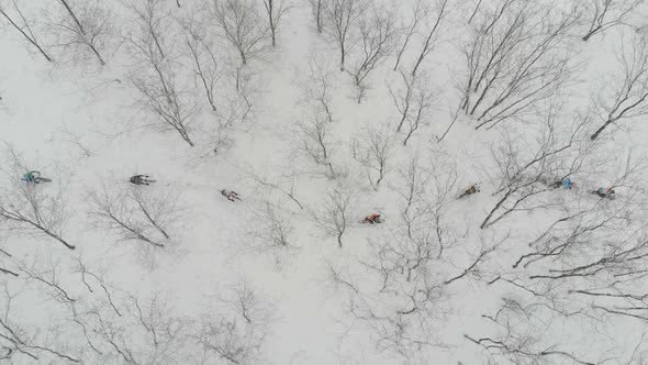 Cyclocross in the Forest alt
