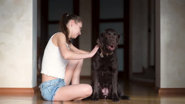 woman takes care of her dog s coat, but the big and strong dog wants to leave alt