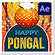 Tamilnadu Pongal Festival Stories - VideoHive Item for Sale