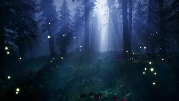 Fireflies in a magical forest 4K