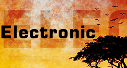 Electronic