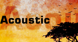 Acoustic