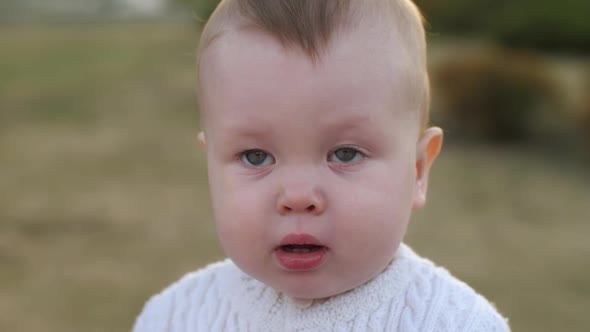 Portrait of a Little Boy alt