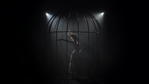 Speech on Stage Girl Acrobat in a Cage Spinning on the Air Hoop. Black Smoke Background. Silhouette alt