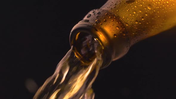 Beer Pouring Into Glass on Black Background