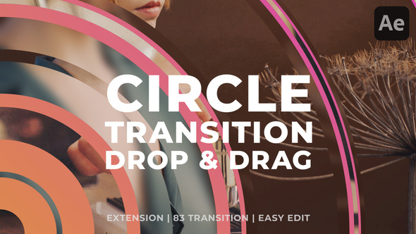 Clean Circle Transition Elements template preview