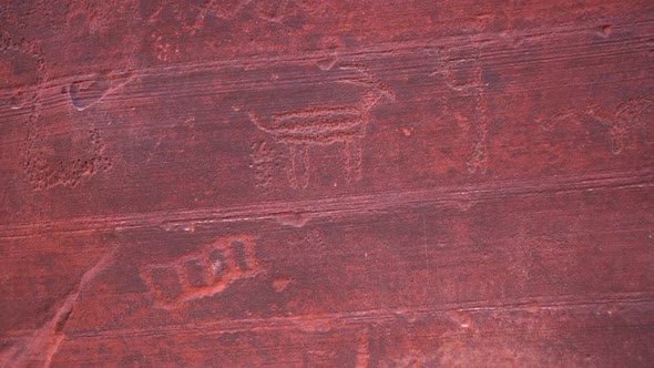 A petroglyph animal was etched on a red sandstone rock wall in the desert of Southern Utah, Pull in alt