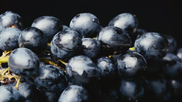A Bunch of Blue Wet Grapes Spinning Slowly alt