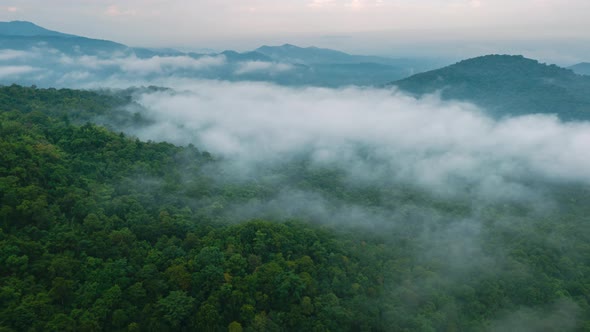 Aerial view Beautiful of morning scenery Golden light sunrise. alt