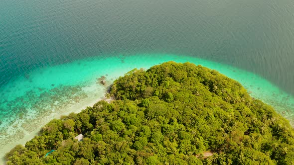 Landscape with Coconut Trees and Turquoise Lagoon alt