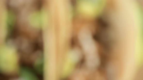 Close up of fresh chipotle shrimp tacos with cotija cheese on a white corn tortillas. alt