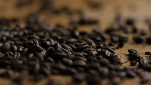 Rotating shot of barley and other beer brewing ingredients - BEER BREWING alt