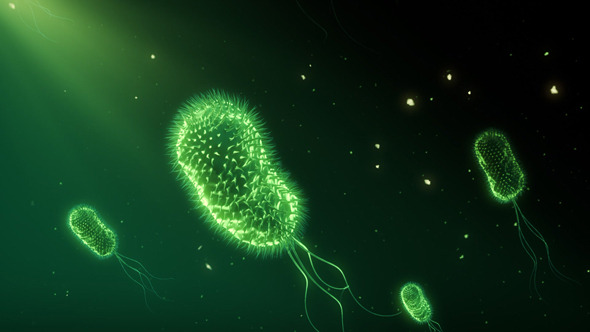 Bacteria 8 by alexander83 | VideoHive